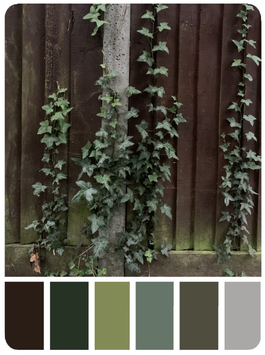 #scenicartistreference #setdresserreference #textureartist  #scenicreference #textures #surfaces #colourpalettes #paintreference #ivy