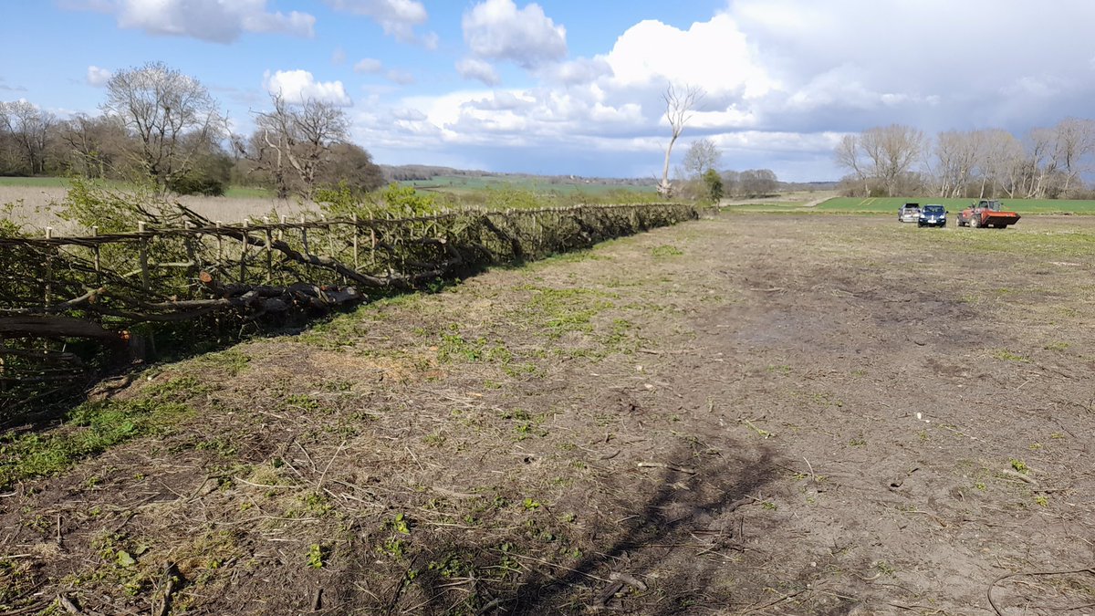 So last Saturday I with help of James and Steve Ridley finished hedge laying for this season. Nearly 1000m of hedge laying this year. Bring on next season.