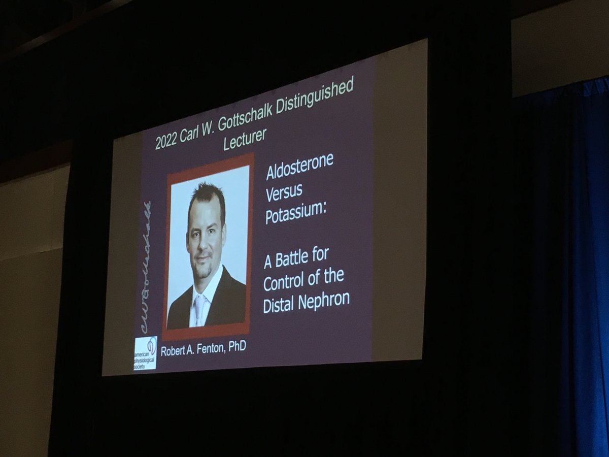 HiBP-LeDucq tweet media