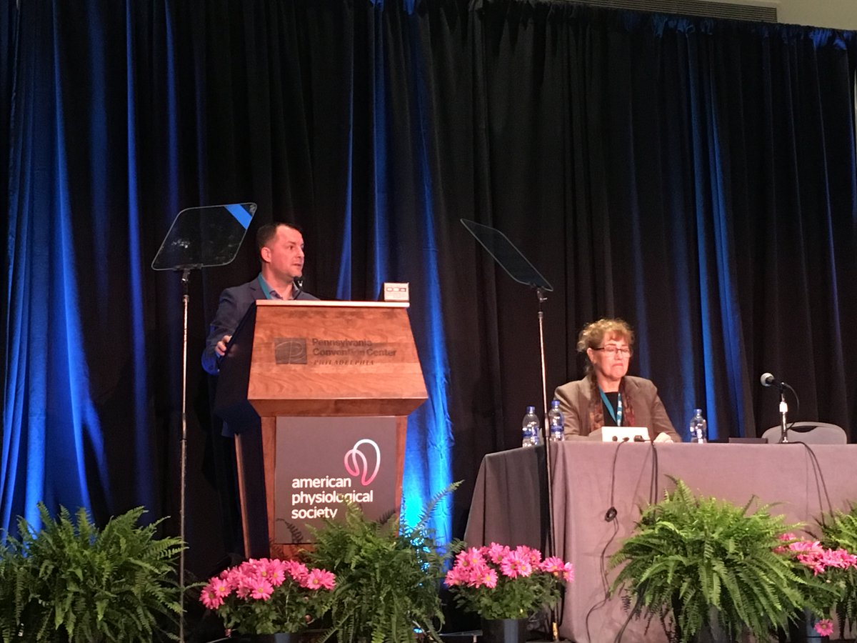 HiBP-LeDucq tweet media