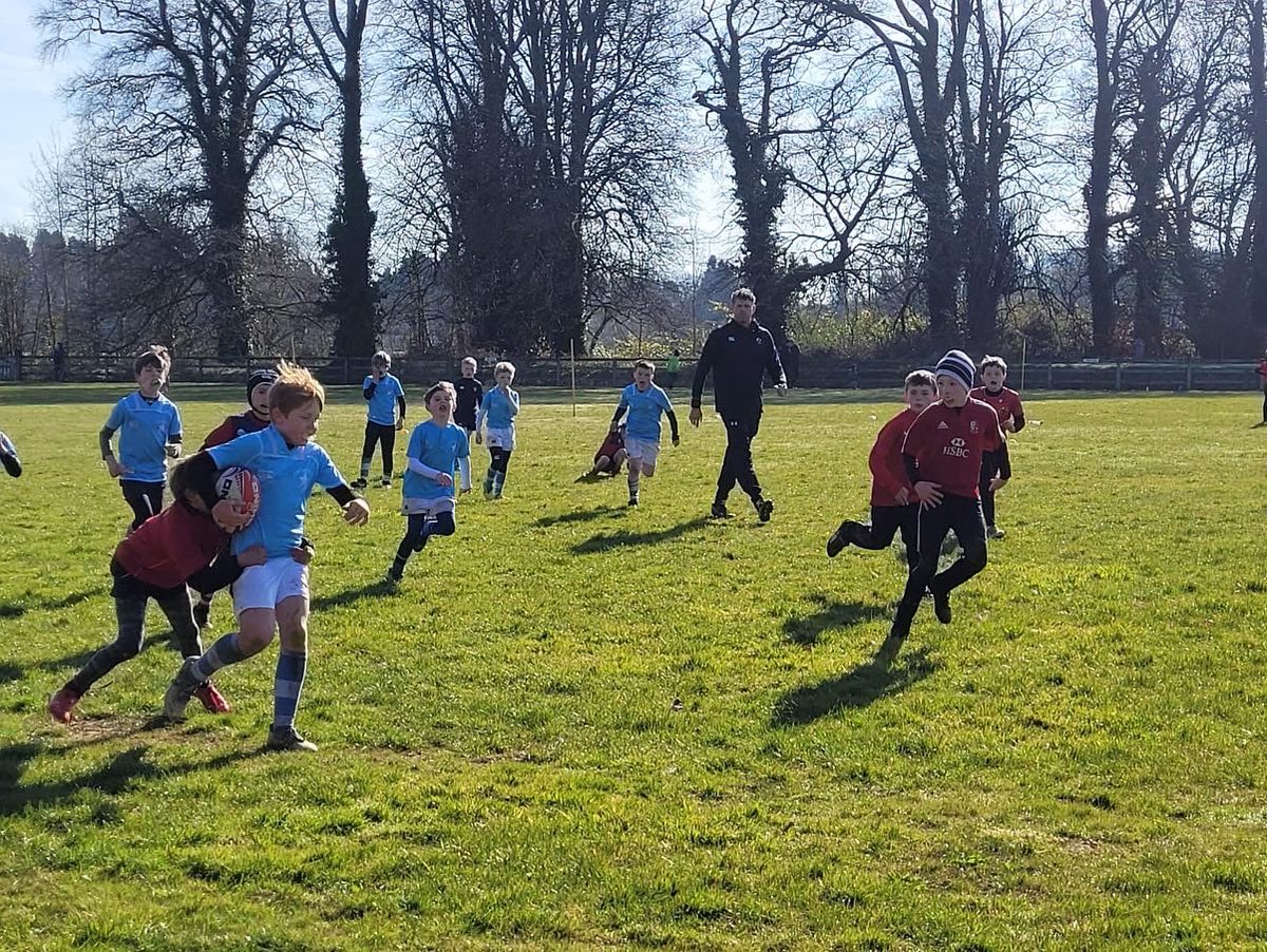 ulbohemianrfc's tweet photo. Our U9s had a Blitz last Sunday in Killaloe/Ballina. ULBohs had 4 teams out against the host and Garryowen. You can really see the skills improving with every game.thanks to @BallinaKillalo1 for hosting https://t.co/RbaqOBnYj0