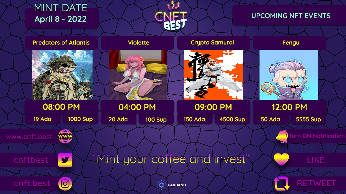 CNFT BEST 🏆 tweet media