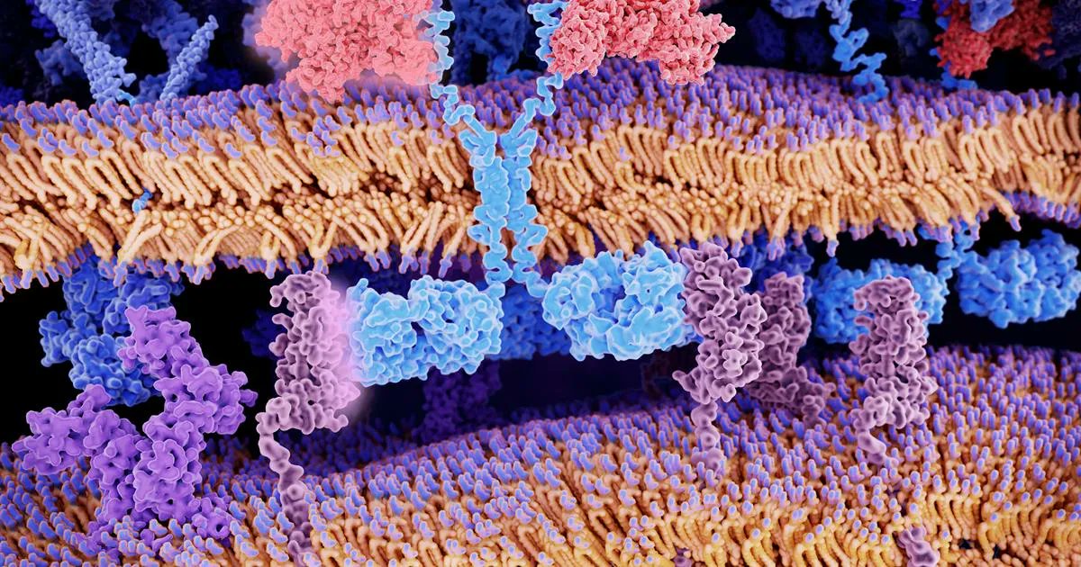 The Science Advisory Board on Twitter "US_FDA approves KitePharma