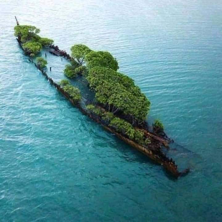 BrokenSea404's tweet photo. The true #beauty of #BrokenSea is how we're reclaiming #meme #culture through #parody of @opensea

Guess our #password, or interact with the pinned post to #gain entry to the #private server #NFTCommmunity #NFTCollection #NFTs #NFT #Ethereum #EthereumNFTs #BrokenSea404 #ETH $ETH https://t.co/jfEh8YaHk0