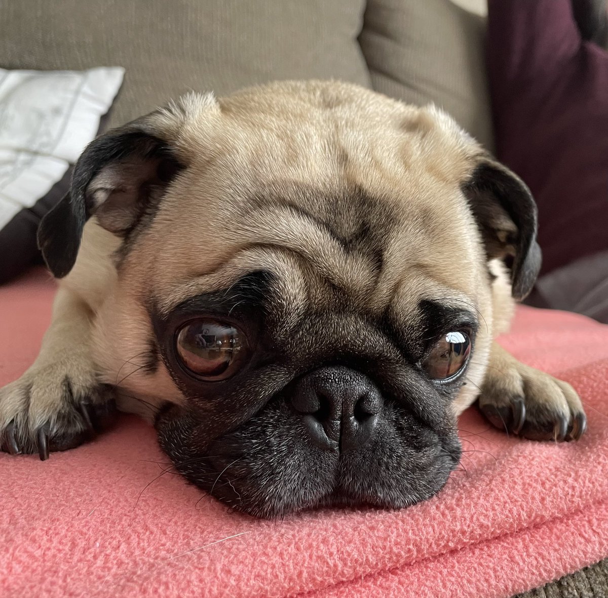 RubySnorts tweet picture