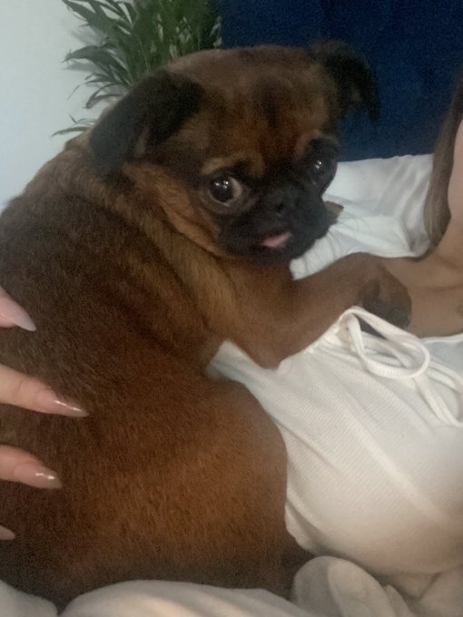 I would LOVE someone to send some flowers rn https://t.co/4TvCuh9oiC