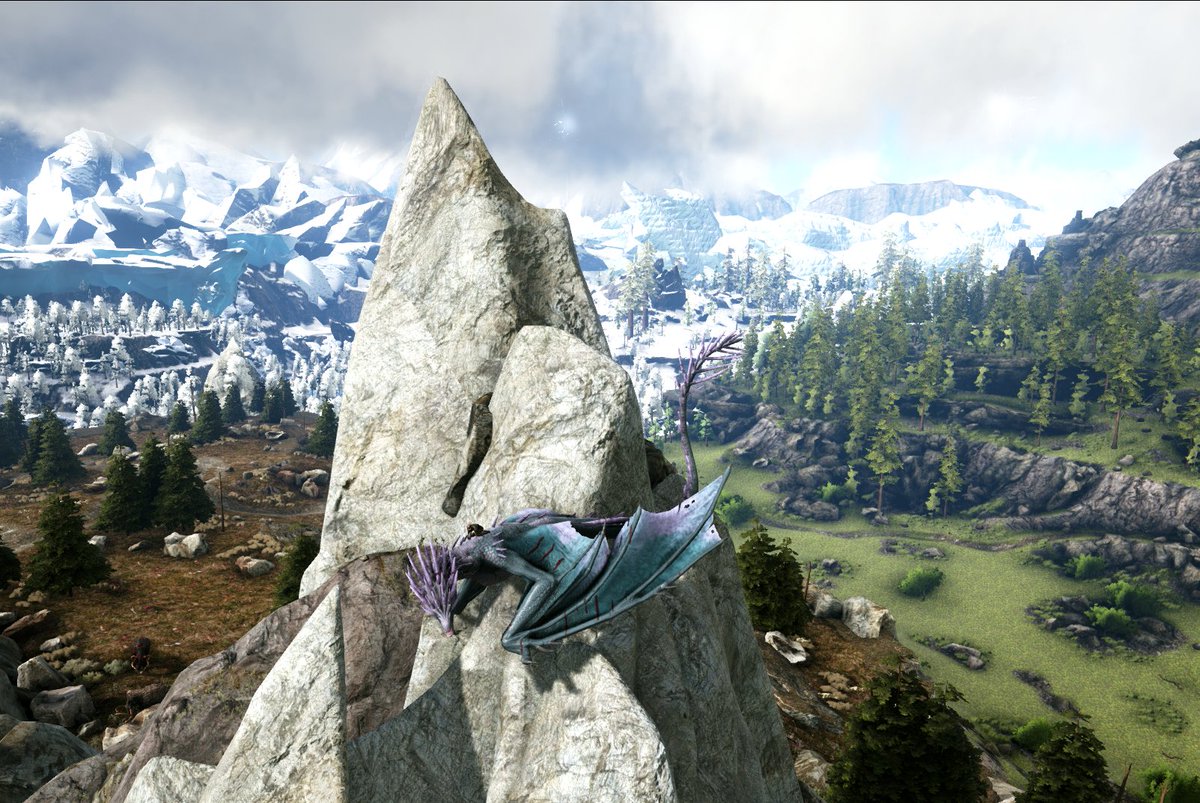 IsNexusTTV's tweet photo. I like my new ice wyvern he has nice colours and great stats!
#ARKSurvivalEvolved #pcgaming #fun #privatserver #friends #icewyvern #ice #newmap https://t.co/gbCqdqLdjl