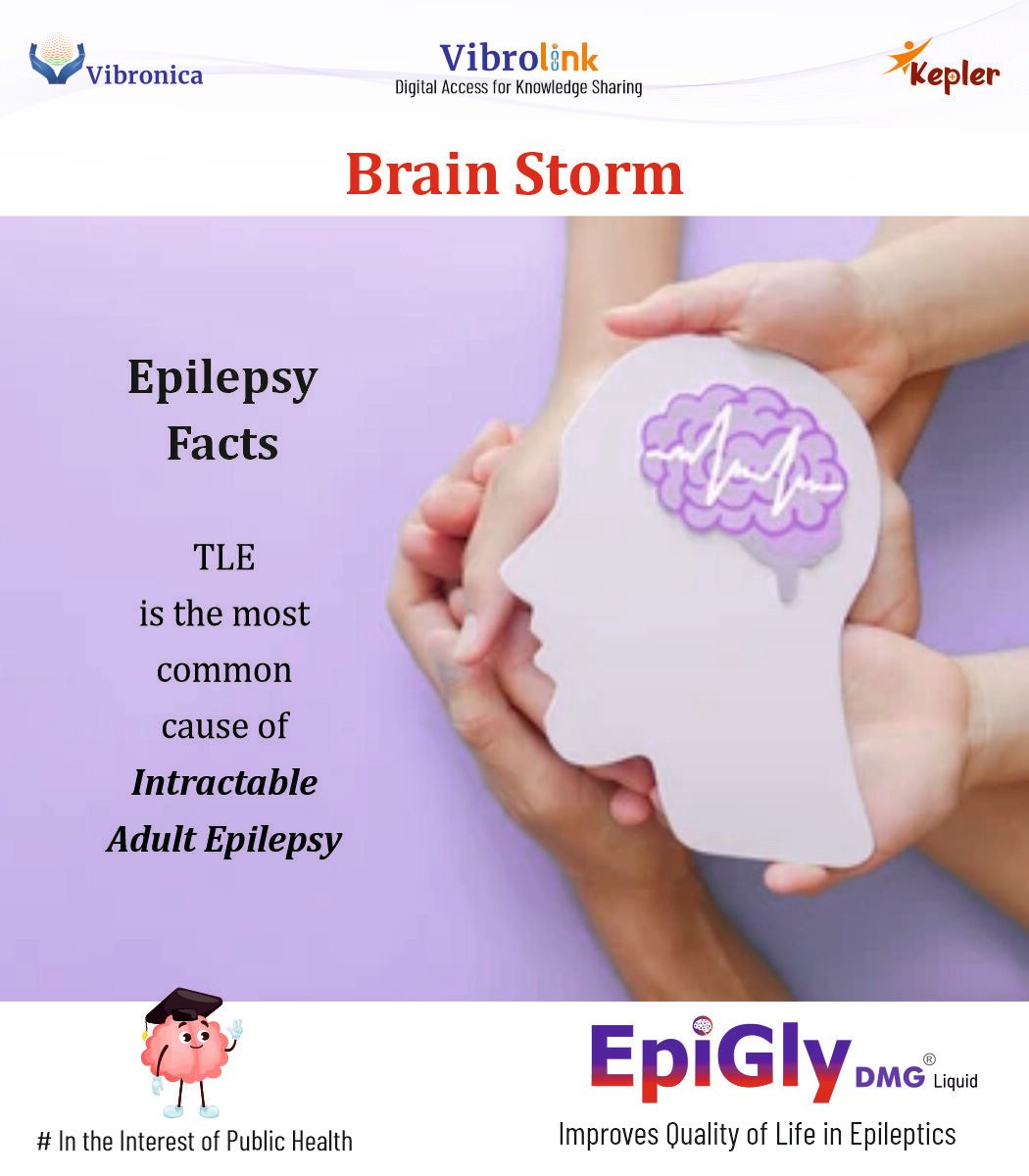 Vibronica2022's tweet photo. #Brain_Storm  Epilepsy Facts, TLE is the most common cause of #Intractable_Adult_Epilepsy https://t.co/kFPXbSJRUg