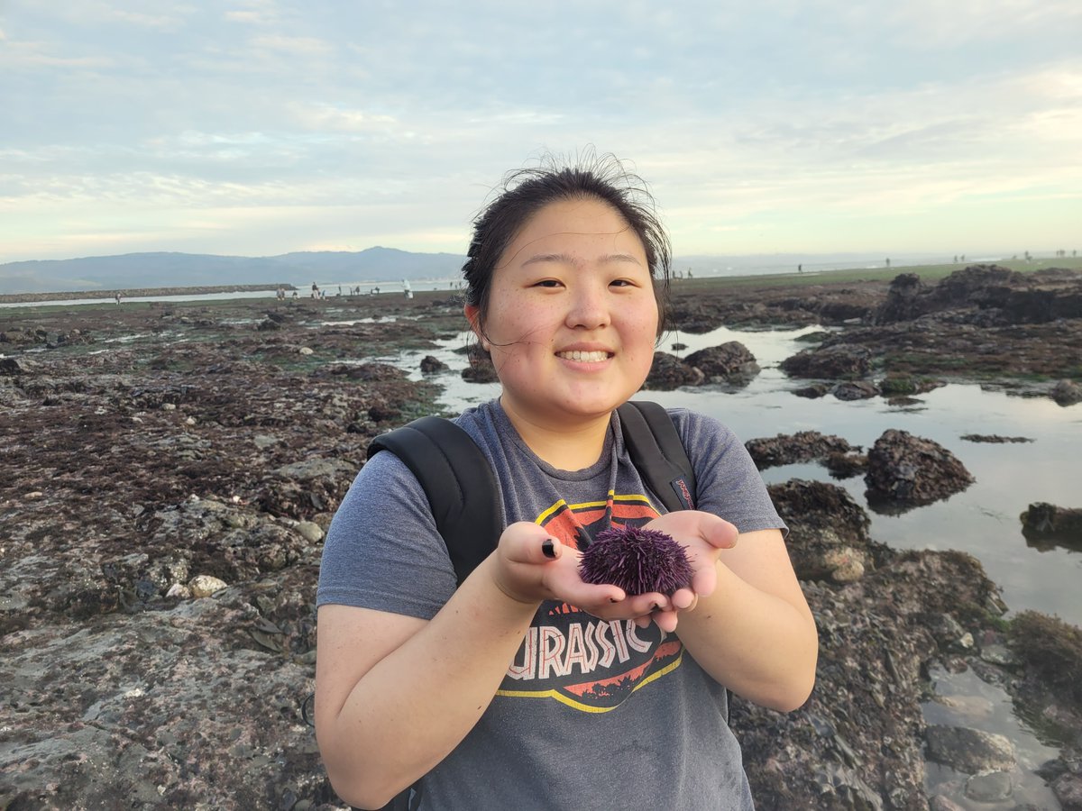 evolvingseas tweet media