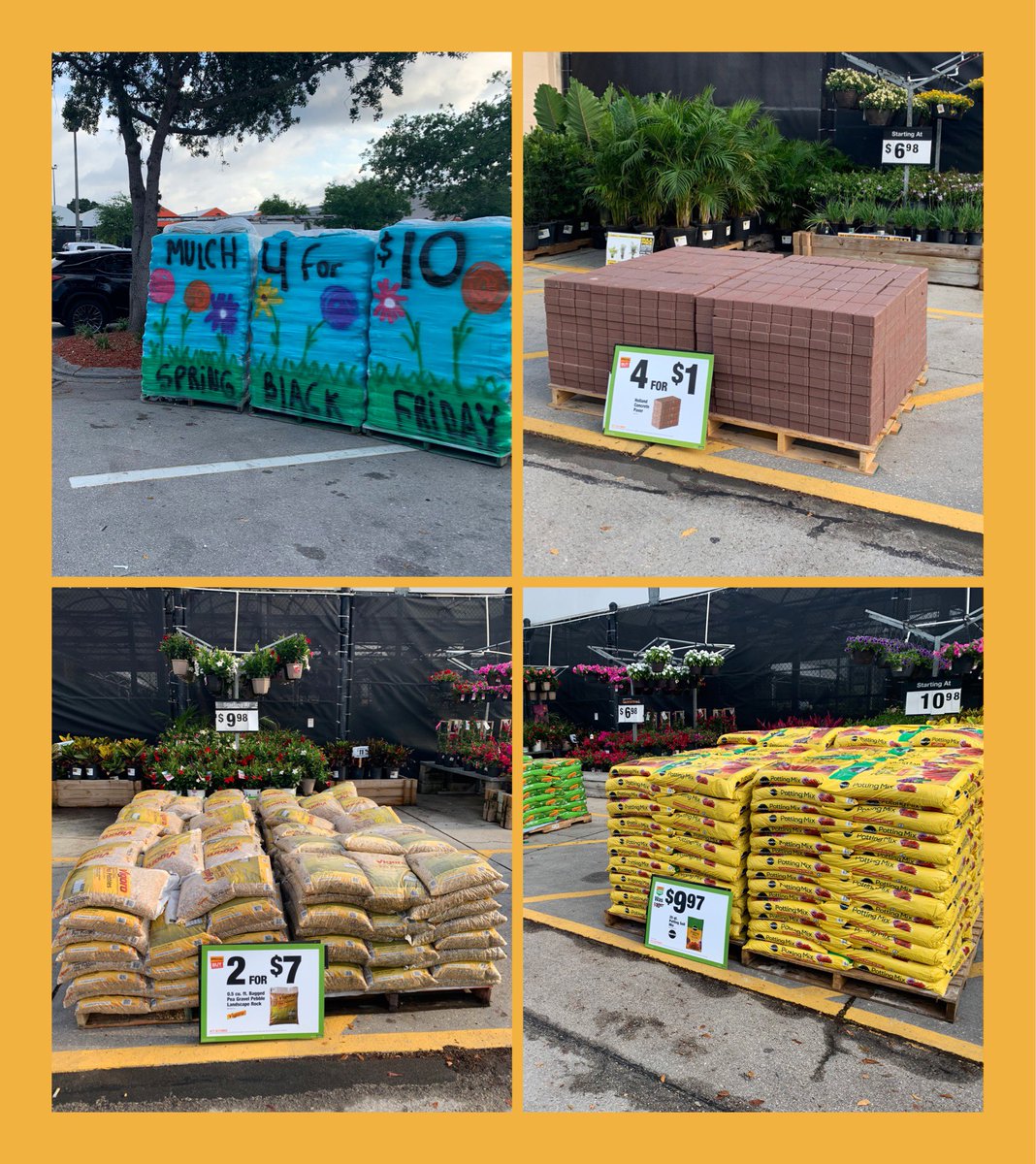 Cindy Sanchez tweet media