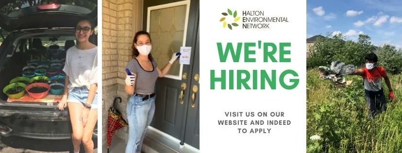 HEN is hiring!  Do you have a passion for inspiring climate action, connecting with the #community, social media, #sustainability, and environmental stewardship?   

🌱Apply today on Indeed or visit HEN's website for more details!

#climate #cliamteaction #hiring #halton