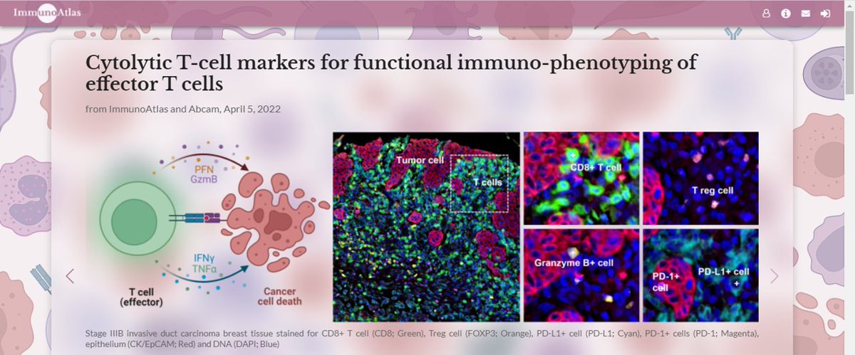 JoeYeong's tweet photo. Through this efforts, users can share (for free) their images to public for better scrutinisation and improve the reproducibility of the data in the publication - paving for clinical implementation. @sitcancer @carlobifulco @BernardAFox @HSaterMD @JaimeRo41322792 @MikeSurace https://t.co/n8wkLCzIm5