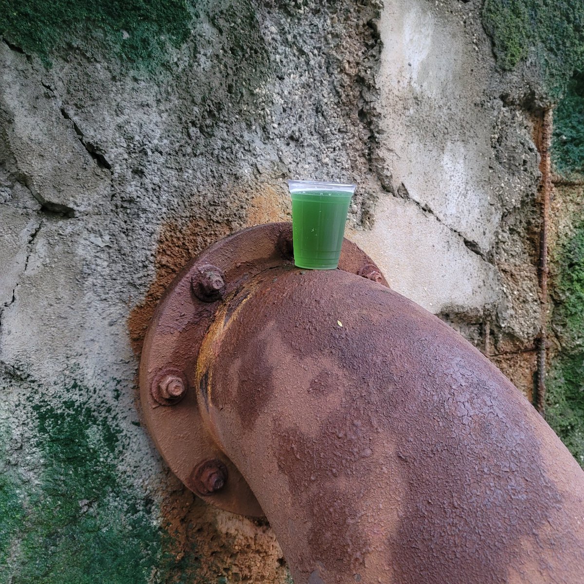 TheLeisureProf's tweet photo. I even missed #RustyPipe https://t.co/z7fqrR5bqs