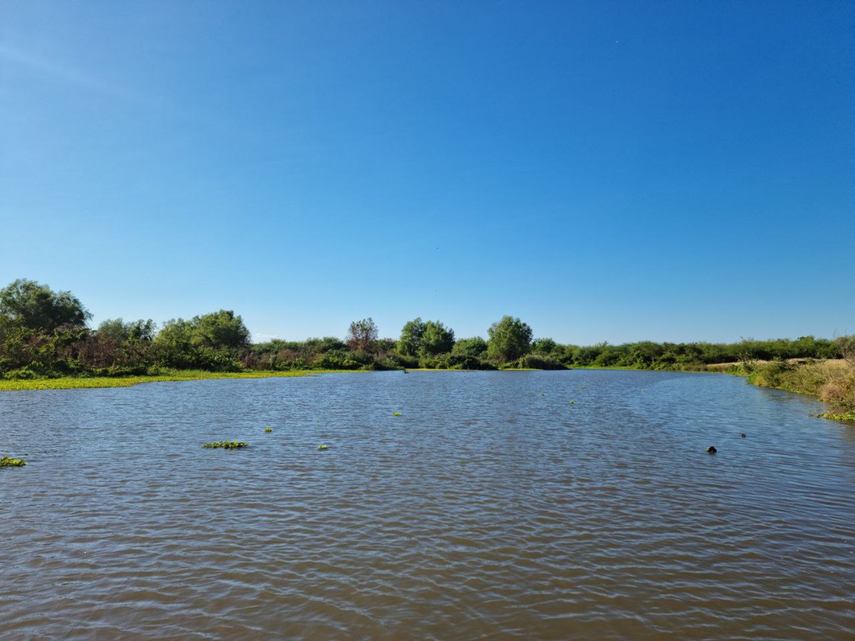 Día 216/365  #07Abril2022

📍Río Viejo
 
Planes para esta semana santa:
Gracias a Dios tenemos opciones, 👇 Río Viejo en la comunidad Cuatro Palos-La Paz Centro 
Kayak, pesca, natación, recreación sana en este 🌞⛱️

#Verano2022
#NicaraguaLinda 
#UnafotoXdía