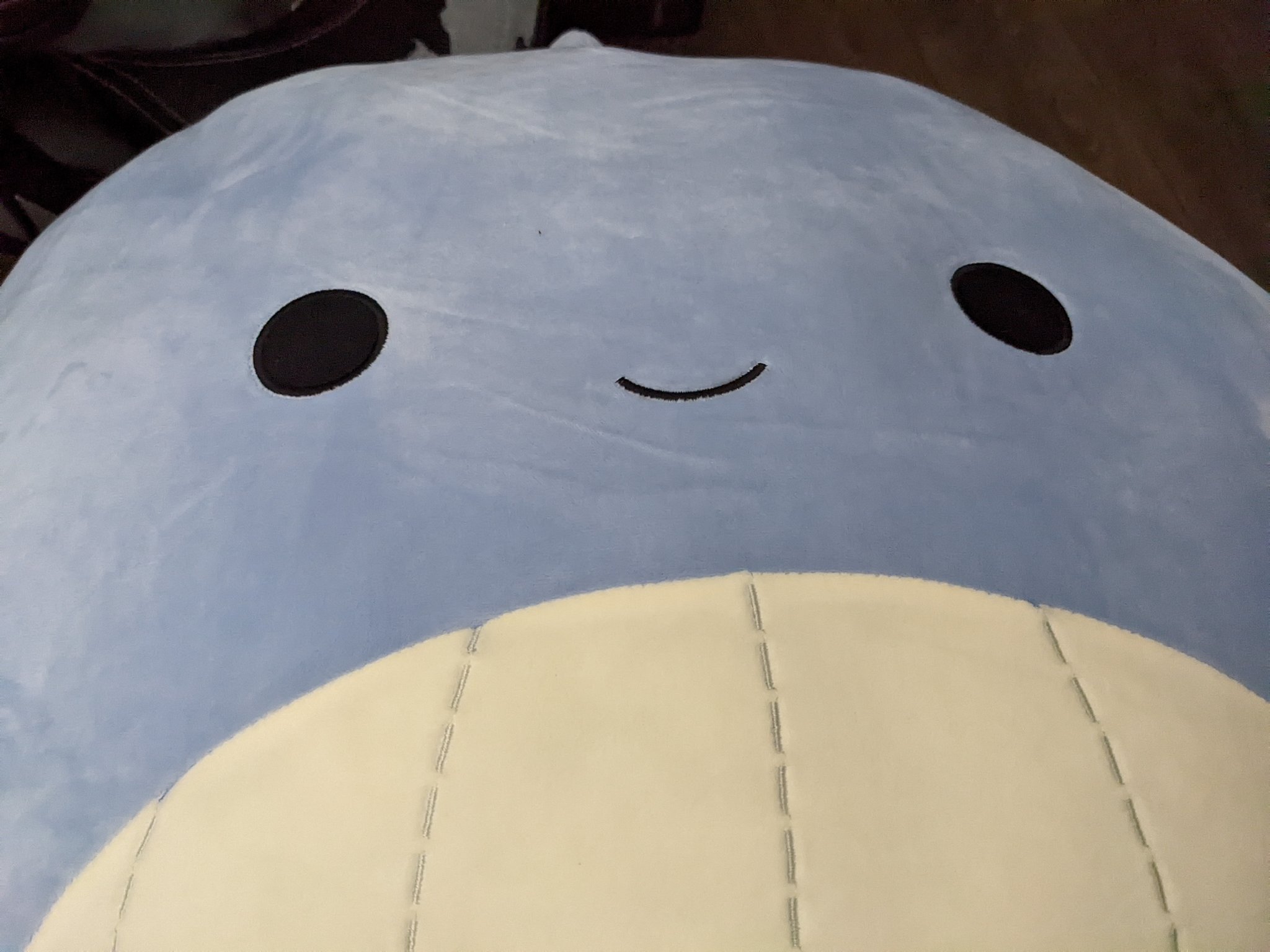 Dottovu on Twitter "I only had you for an hour and I love you https