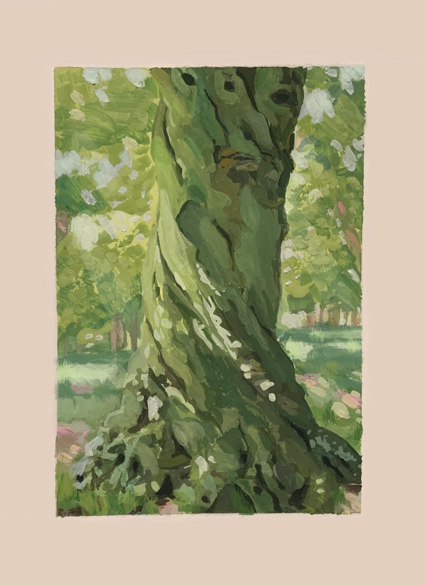#pleinairpril Day 7 🌿 week 1 complete! I pass this tree in Phoenix park and the light always hits it just right 🤌 <a href="/warriorpainters/">Warrior Painters 💚</a>