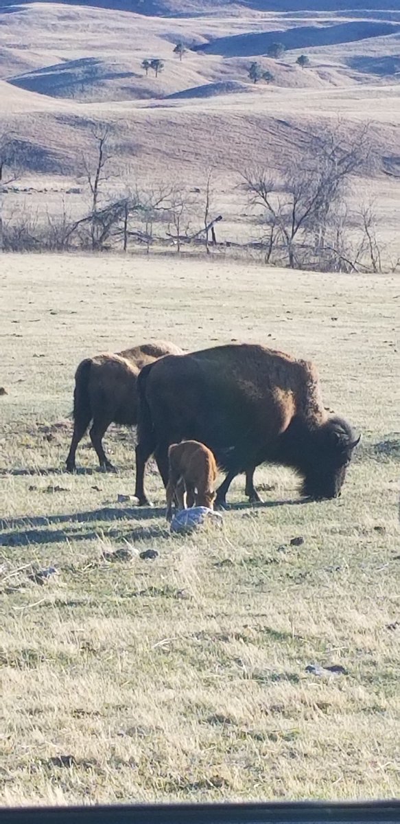 Tammy Wilson tweet media