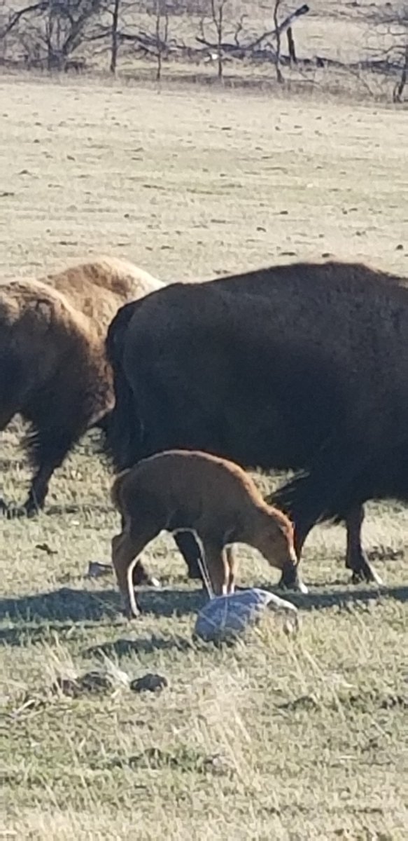 Tammy Wilson tweet media