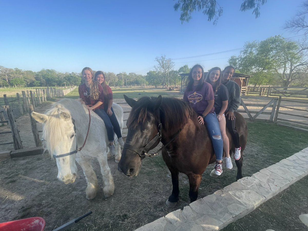 Arabians not horsing around, they are ready for Regionals!!