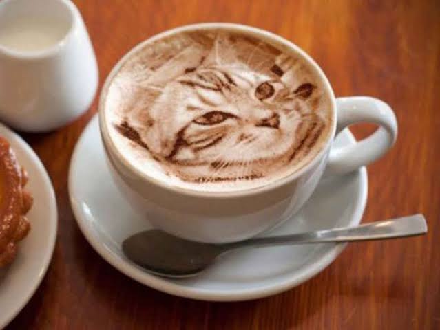 Holaa, empec&eacute; un emprendimiento para ayudar a gatitos en situaci&oacute;n de calle. Me ayudar&iacute;an mucho si pudieran<a href="/tag/cats"class="tags"><span>#cats</span></a>