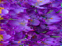 dmoisan's tweet photo. Images from Shortwave Radiogram via WINB, 9265 kHz, 2300 UT April 7. It's a rare catch for me as WINB is usually in my skip zone in Massachusetts. @swradiogram #swradiogram #hfzone https://t.co/PDTnhyVaur