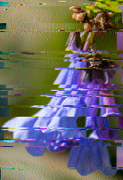 dmoisan's tweet photo. Images from Shortwave Radiogram via WINB, 9265 kHz, 2300 UT April 7. It's a rare catch for me as WINB is usually in my skip zone in Massachusetts. @swradiogram #swradiogram #hfzone https://t.co/PDTnhyVaur