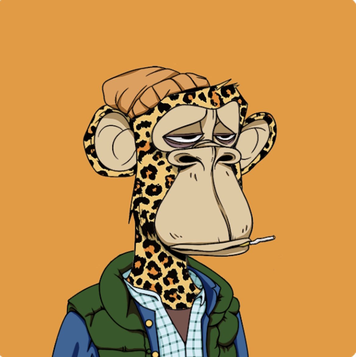 BoredApeYF's tweet photo. Should we get ‘em?!!!! This girl is a sucker for leopard! 

Looking for 1,111 BAYFs to join a first of its kind crowd funded project! Ape in with us and together with a DAO inspired system we can have our own #BoredApe ! #WomeninNFTs #BAYC #boredapeyachtfans #NFTs https://t.co/07fNs0g65n