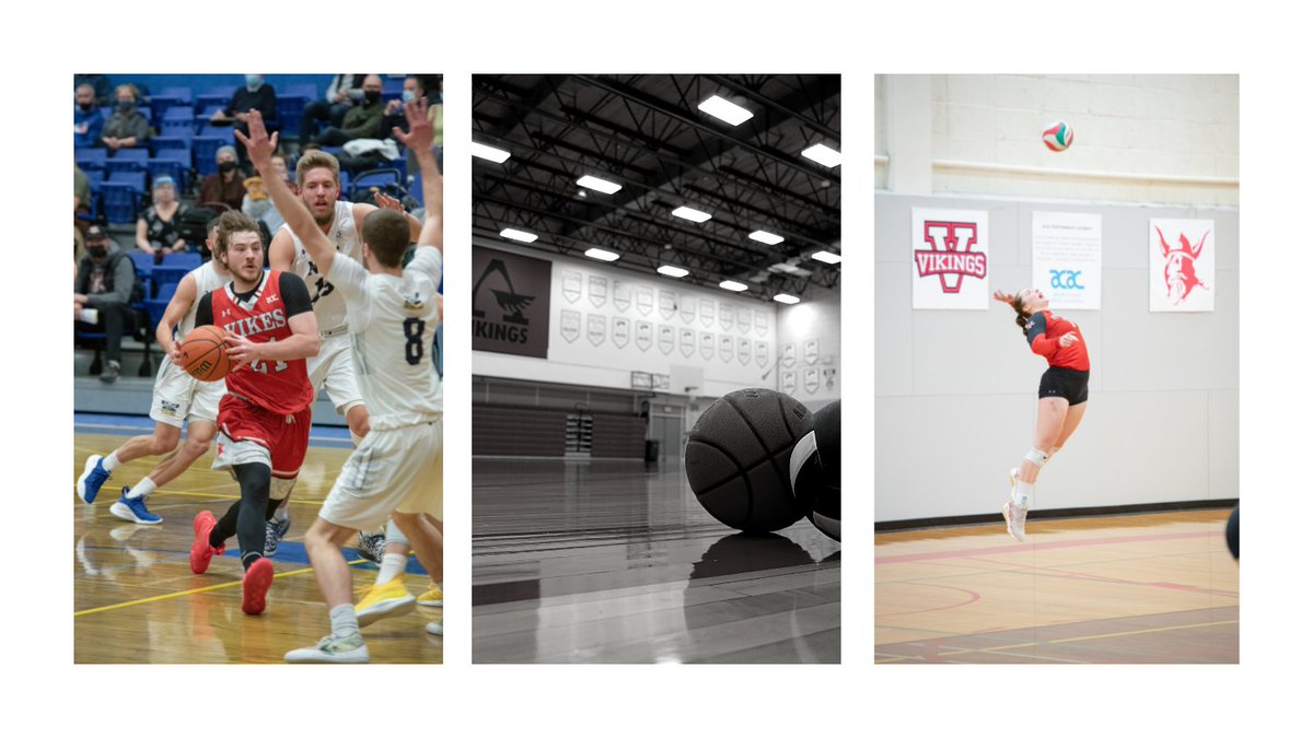 UAlberta - Augustana Vikings tweet media