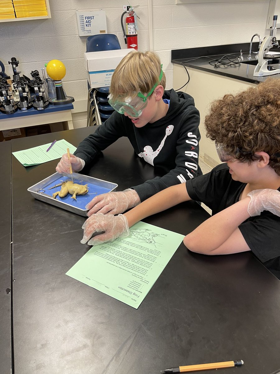 IveyFHomer's tweet photo. Making every day count. With spring break only a day away, @LexingtonMiddle Ts & Ss are finishing strong with symposiums & frog dissections. #LMSLegacyTour #Lex1Science #Lex1Literacy @bharoff https://t.co/o0Eo9XPsI1