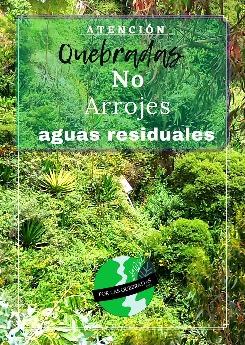 EsteffaPf's tweet photo. ¡Cuidado! Las #Quebradas te observan, NO ARROJES AGUAS D TU CASA A LA #QUEBRADA
DIFUNDAMOS educación
@herreraelvisec 
@marloncadenaec 
@analialedesmaec 
@ZULNELEA 
@MoniSandovalUIO 
@CarrionQuinde 
@JCFialloC 
@AndreaHidalgoec 
@cris_velasco3 
@ApoyoYasuni 
@RioRescate https://t.co/nAzZZqLW7T