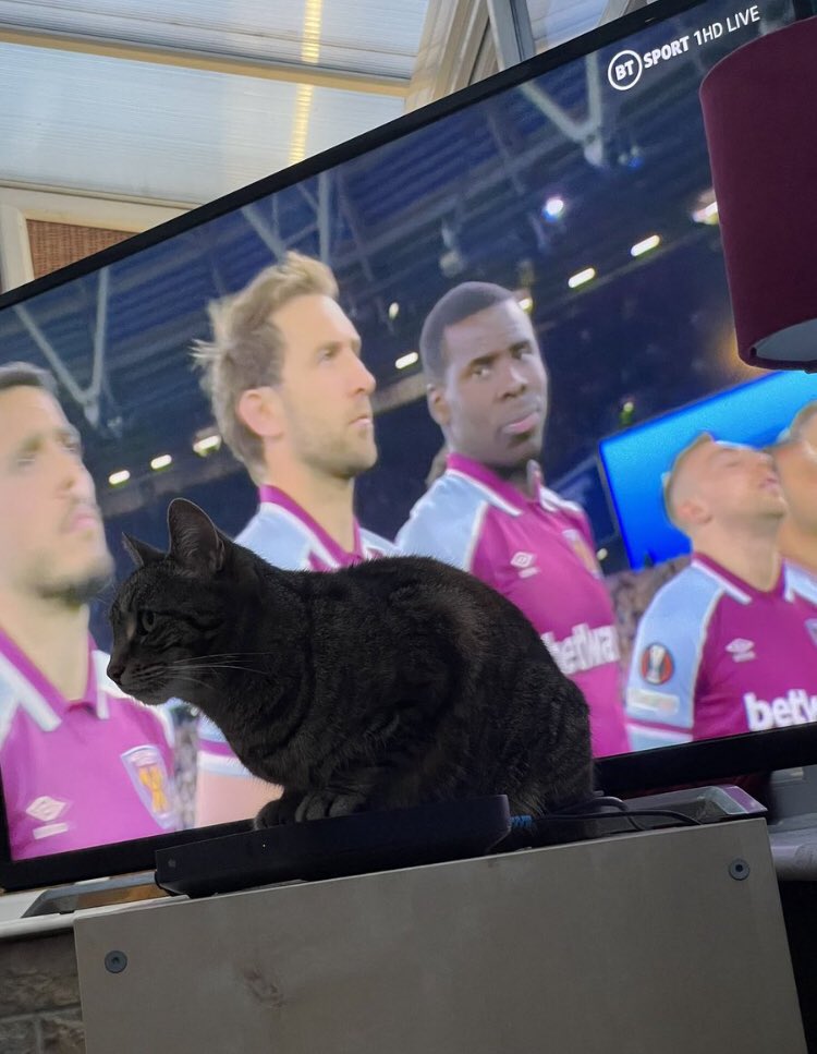 FPxB-4mXwA49KQM?format=jpg&name=medium