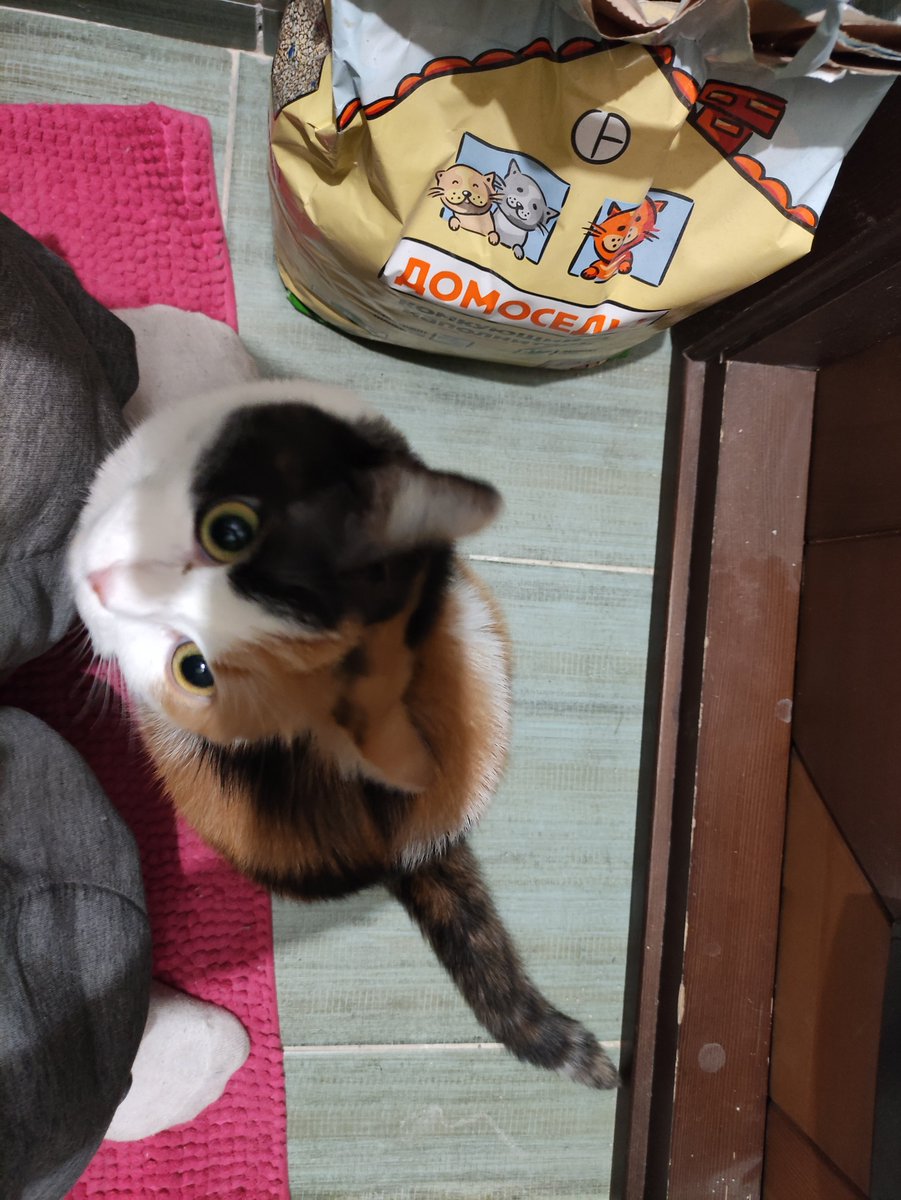 Даже в туалет спокойно сходить не даёт)