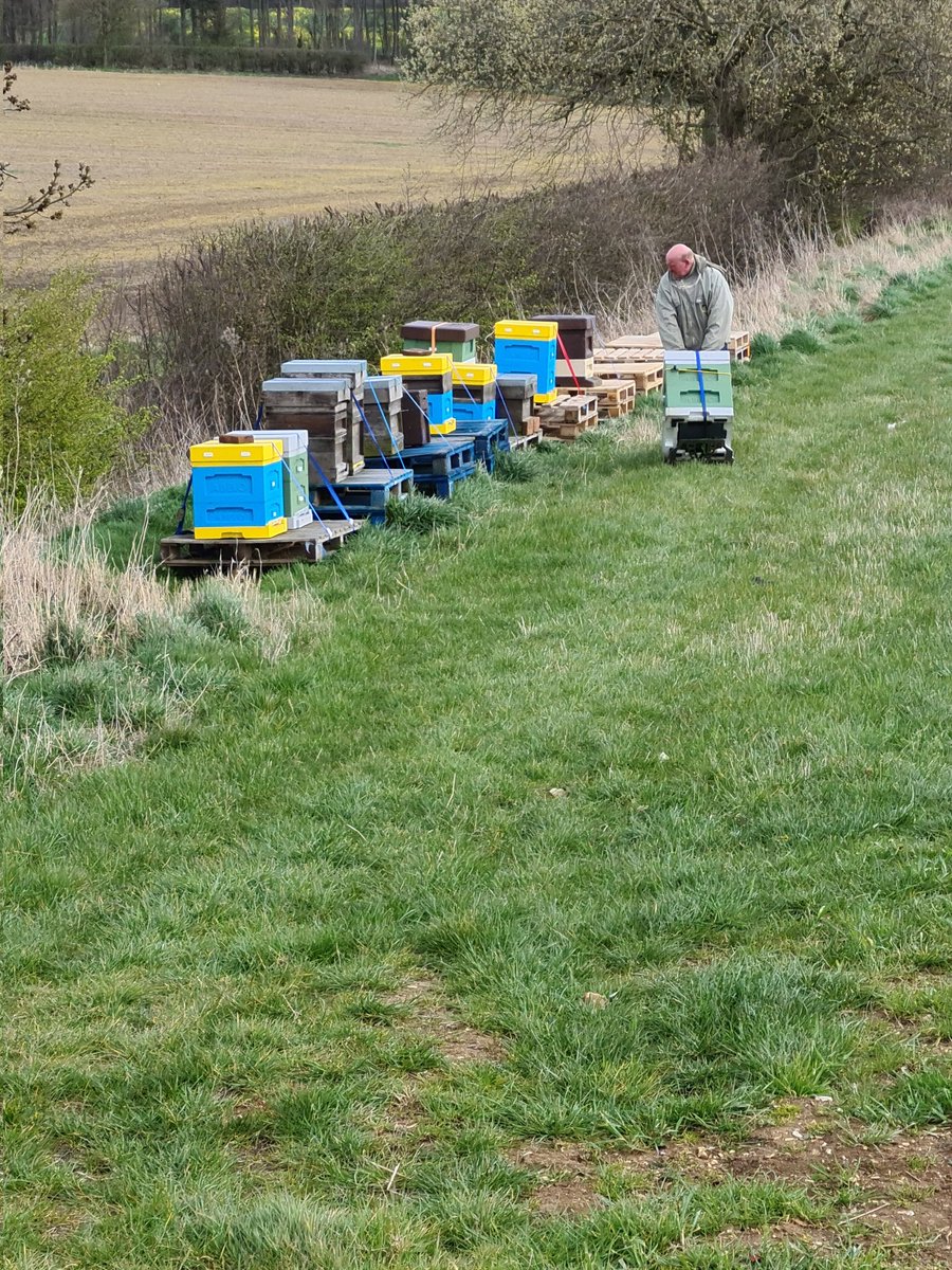 eve_bees's tweet photo. The hives have all been moved to their new home today.
Many thanks to all of the people who are kind enough to accommodate our bees. ❤️🐝
#MHHSBD #savethebees #bees #beekeeping https://t.co/2DyM40x5LL