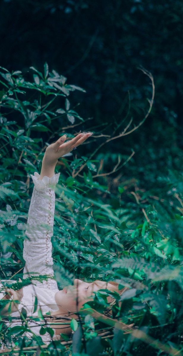 siblings_kim's tweet photo. Decided to lay in field of vines and go exploring in the woods for a little alone time #VipersEnt https://t.co/4HFKW3Qlmz