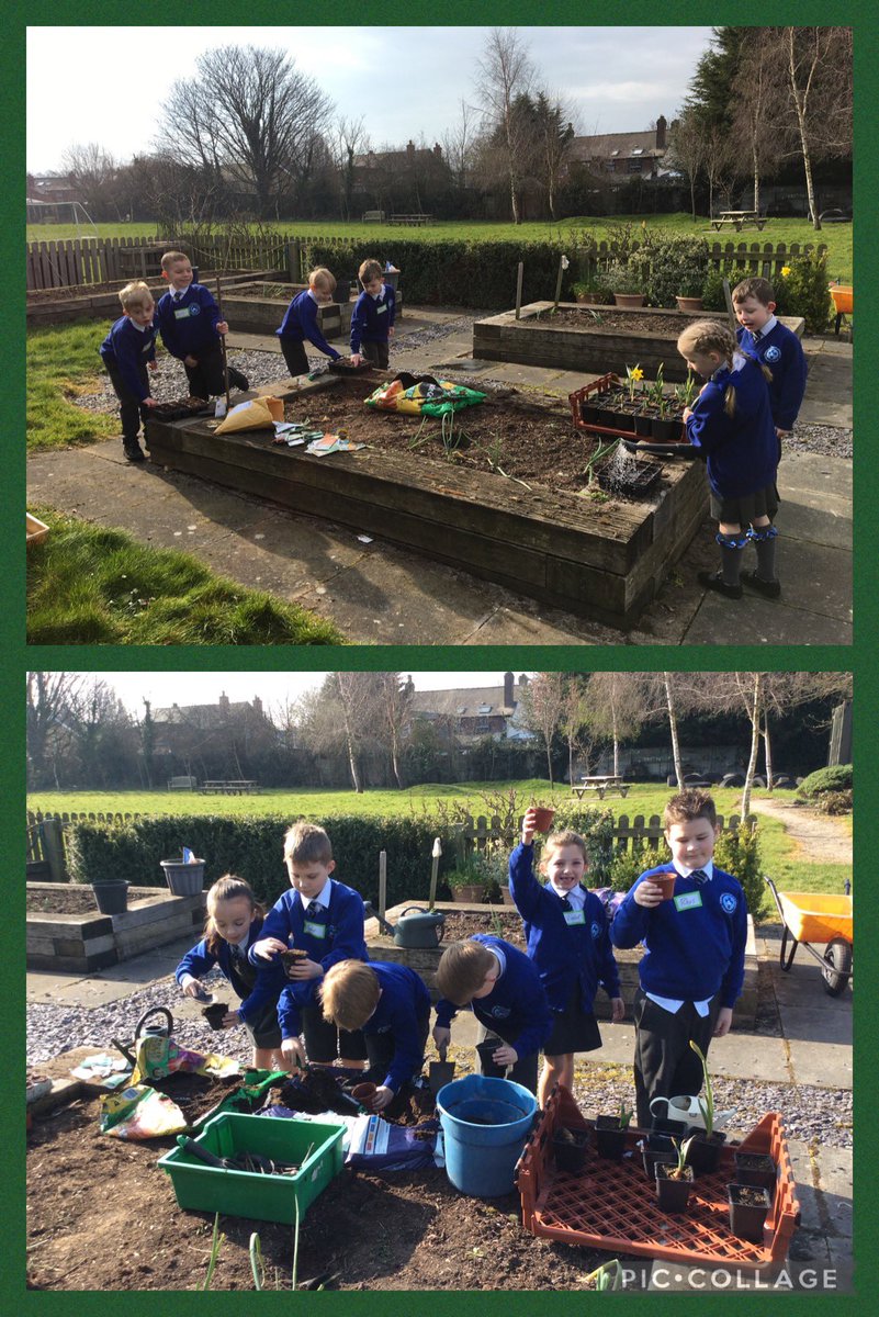 halewoodcofe's tweet photo. Lots more fun in the allotments and some pond dipping tooβ¦ we now have a greenhouse full of seedlings. π± π± #OutdoorLearning #GrowToLearn #EnvironmentalAwareness https://t.co/NghG8qGQev