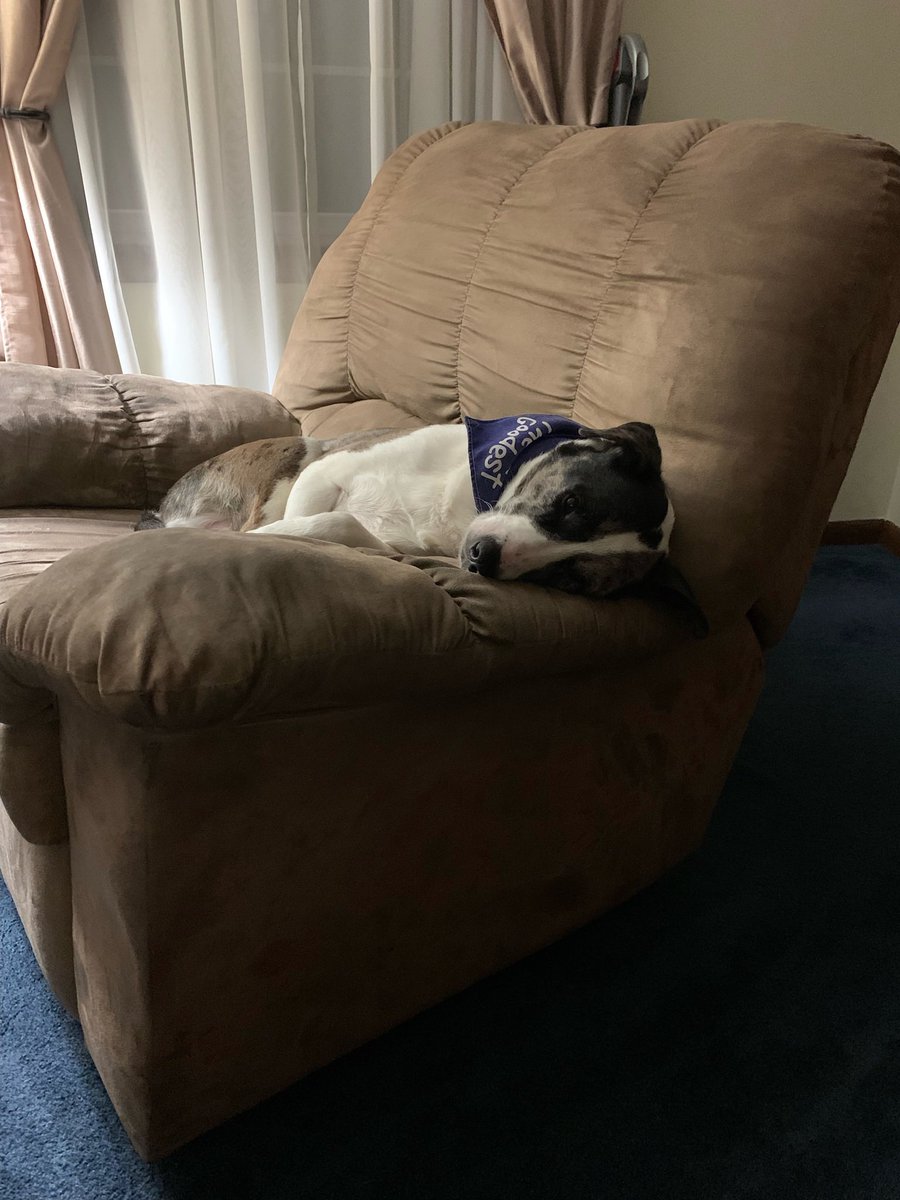 Lisa Caulfield tweet media