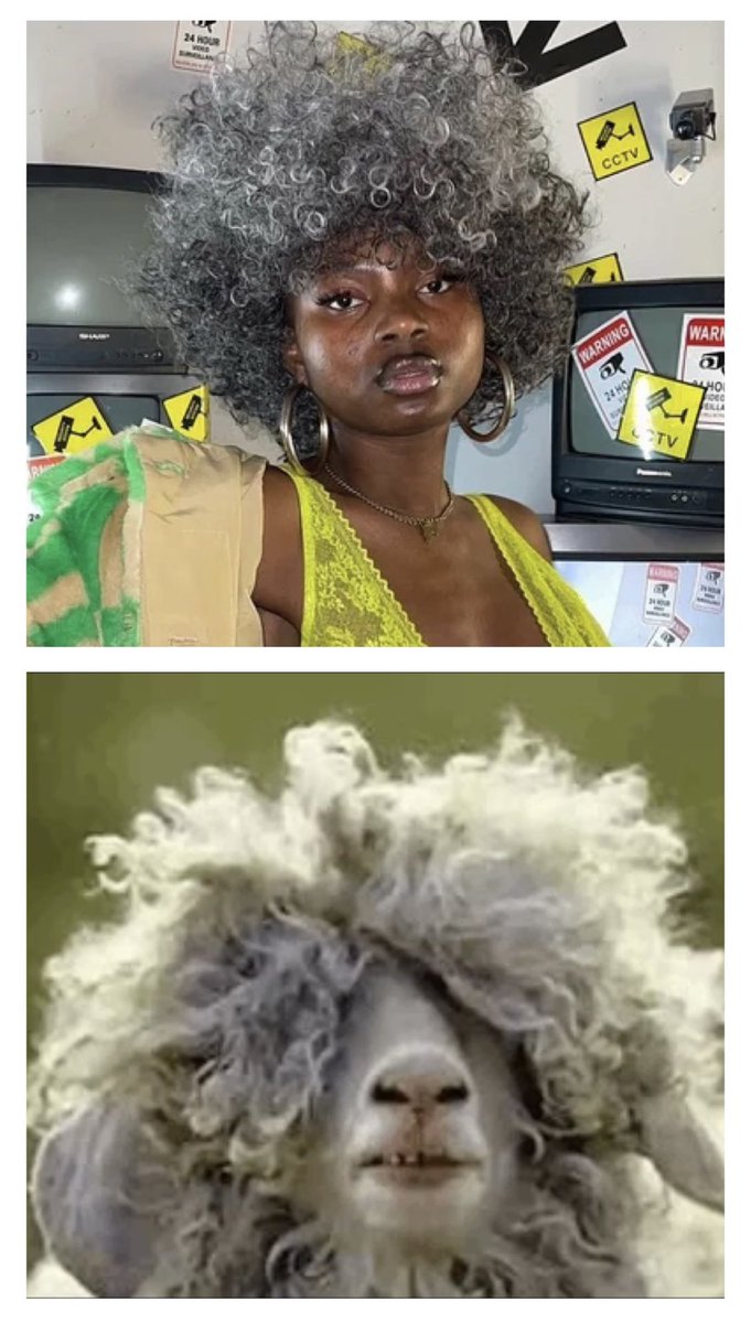 Nicht zu verwechseln mit … 
#noella #gntm2022 #sheep #sheepmod