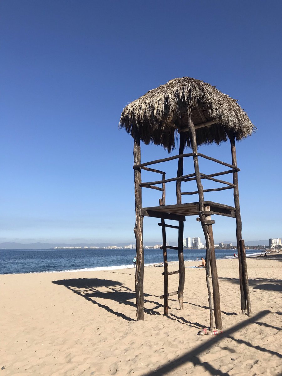 carlosestradac's tweet photo. Arquitectura efímera en la costa norte de Jalisco #materialeslocales #sistemastrasicionalea #arquiroles #PuertoVallarta https://t.co/ApVSk2gSGx