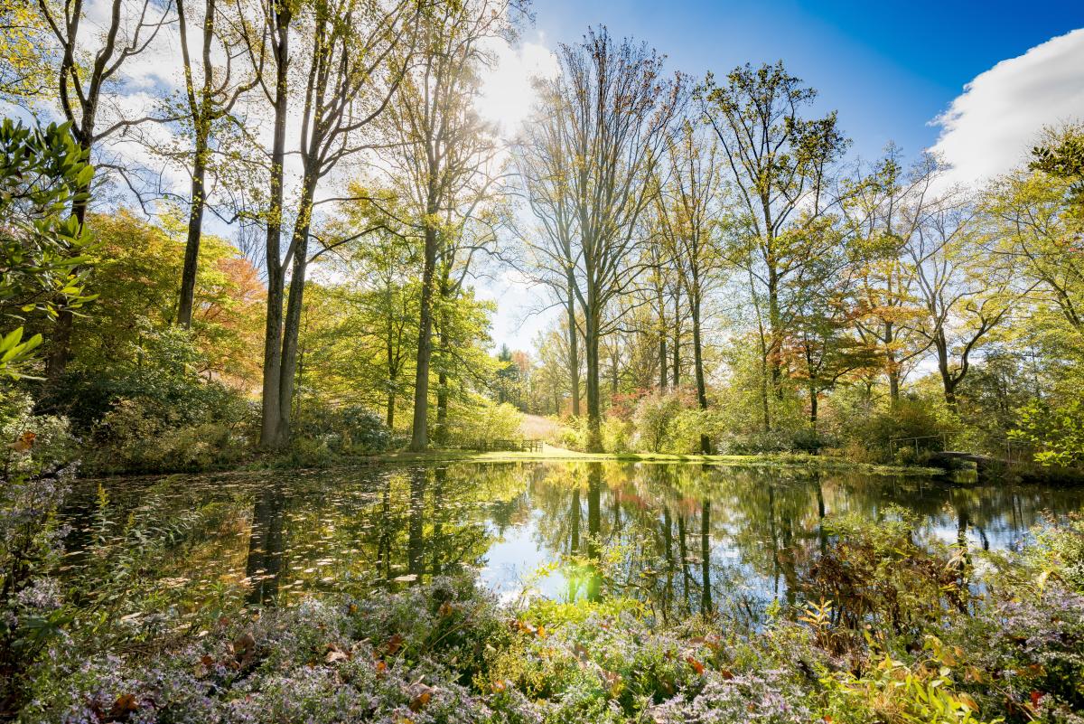 lingometro's tweet photo. National Parks aren’t just about natural beauty - they can also offer visitors a sense of the area’s history. At #FirstStateNationalPark in #Delaware, visit the beautiful forests and also historical buildings of the first state.
#LingoMetro #FunWithEnglish #NationalParksUSA https://t.co/iVcdgc5Cgz
