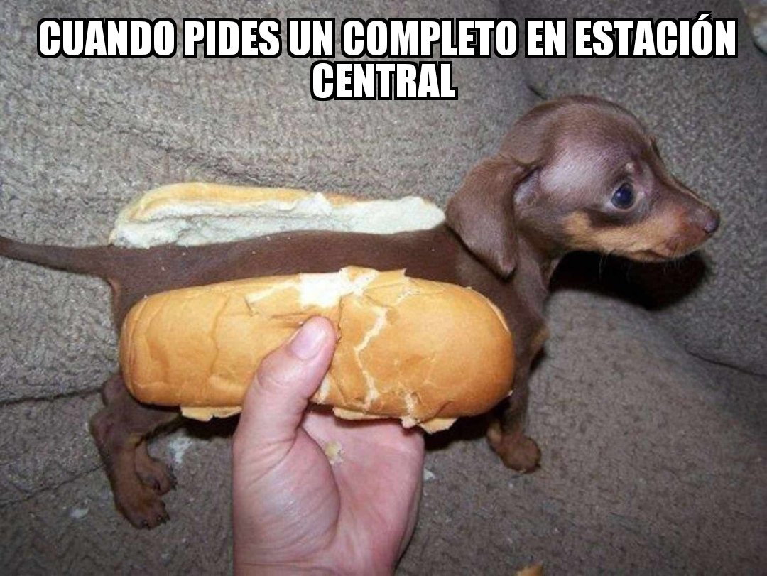Felipe Martinez tweet media