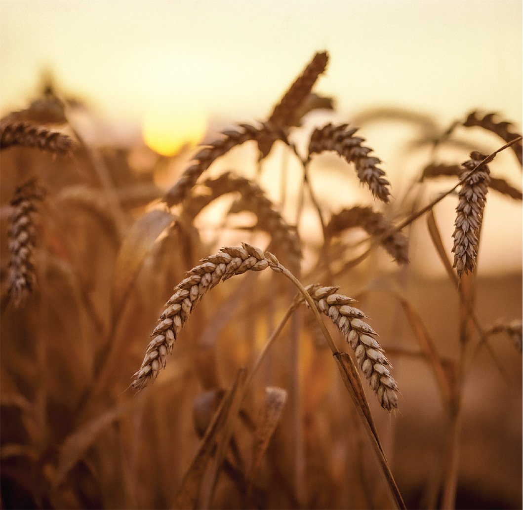 Pam Hines tweet media