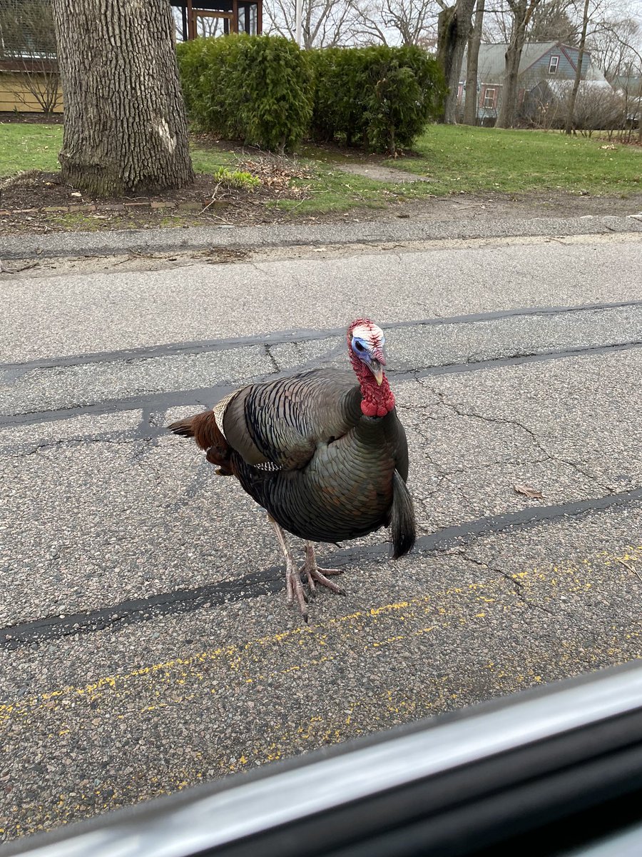 m (@tw1nkerb3ll) on Twitter photo 