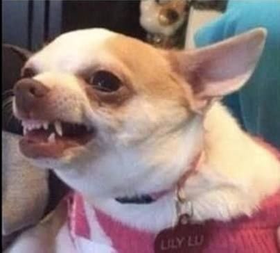 h! 🥢 on Twitter: "@spicyxgf THE BETTWR PLAY NEAR U https://t.co