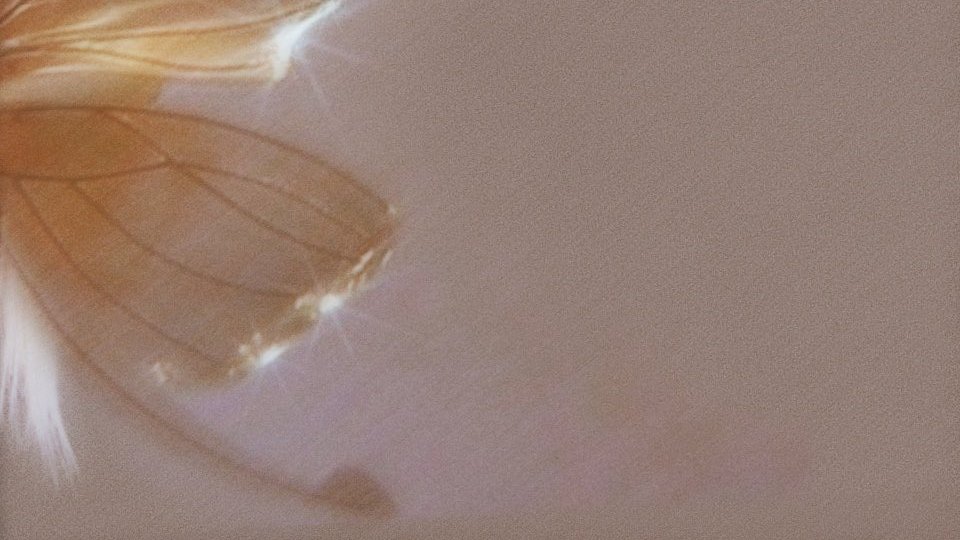 addictionlipa's tweet image. just dua lipa