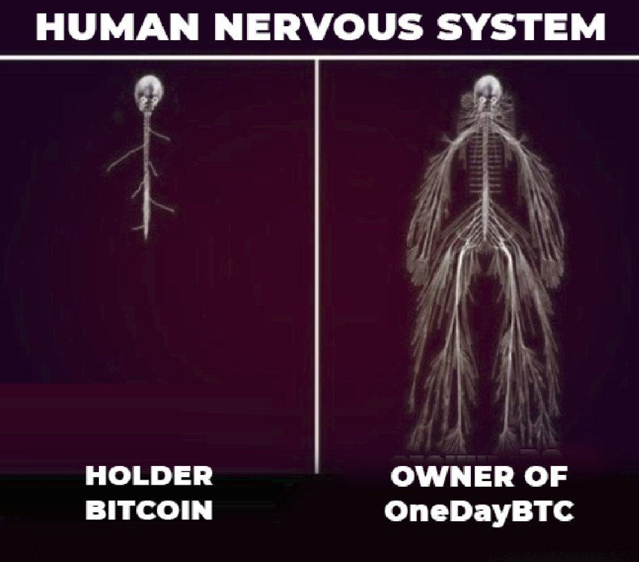 Fan art 💓 of the discord community 💓

#NFTCommunity #NFT #Ethereum #ETH #ethereumNFT #nftcollectors #nftcollection #btc #bitcoin #nftworld #onedaybtc