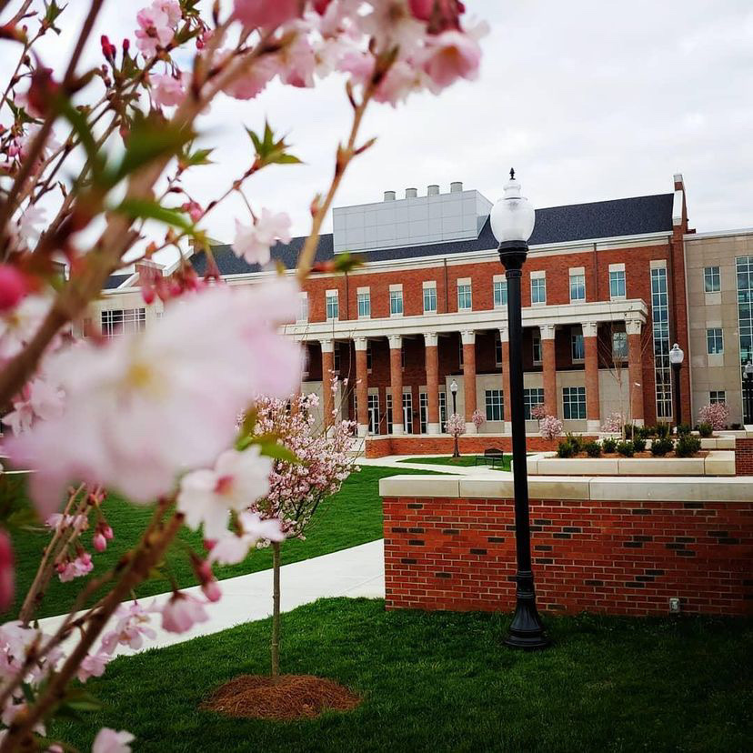 tennesseetech's tweet photo. We have sunshine and warm weather on our mind βοΈ #ThisIsTNTech https://t.co/2W1rQOjlGy
