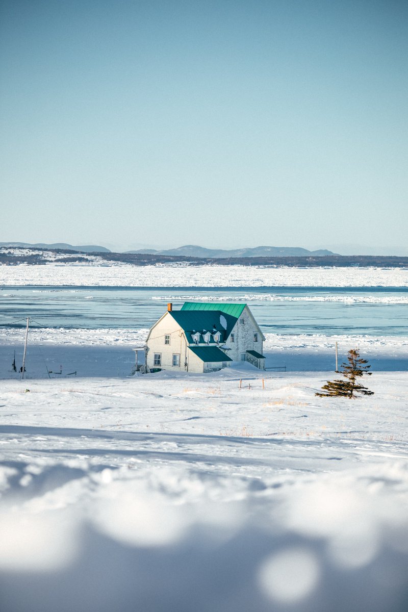 hellolaroux tweet media