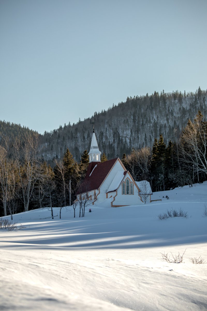 hellolaroux tweet media