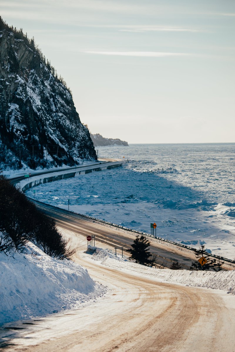 hellolaroux tweet media