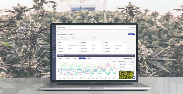 MMJ_Daily's tweet image. US: #Trym to integrate Metrc in 11 states @trymtech
mmjdaily.com/article/941679…